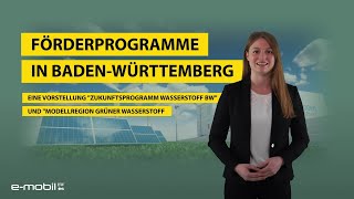 Förderprogramme in Baden-Württemberg - Eine Vorstellung