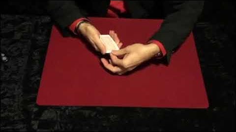 Kings and Aces Magic Trick by Merlins...