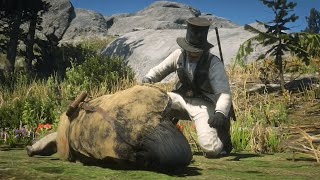 If Arthur takes the Veteran's horse, the scene in the finale will become even more tragic