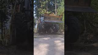 Belarus v akci/těžba dřeva🌲 #loggers #logging #workhard #chainsaw #lumberjack #forestwork #work