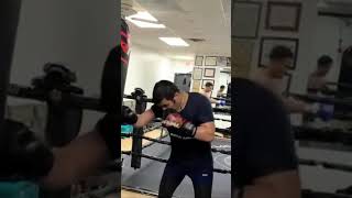 Mike Tyson vibes 🔥Pure speed. Pure power. 🥊 #boxing #speed #heavybagworkout #gym #miketyson #fight