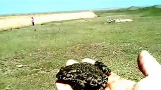 Прогулка на природе. Водопойное. Крым. Прогулка на природе. Водопойное. Крым.