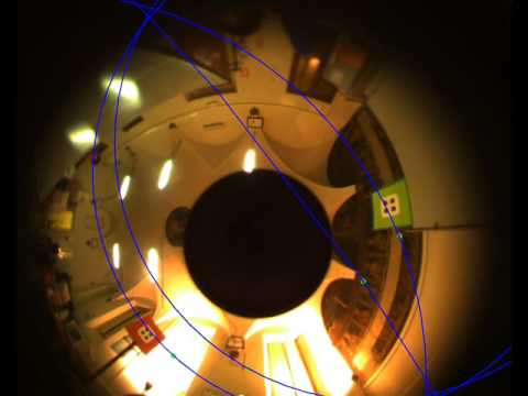 Image-based Visual Servoing with Catadioptric Cameras (Im.plane, Exp)