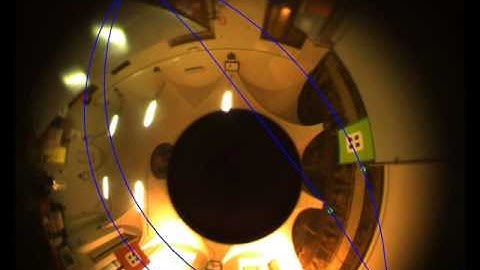 Image-based Visual Servoing with Catadioptric Cameras (Im.plane, Exp)