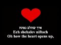 Yachad lev el lev niftach together with hearts opened gaya hebrewenglish     