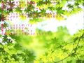 「Honki Sonoki Muchuu」歌詞付き 歌:永井真理子