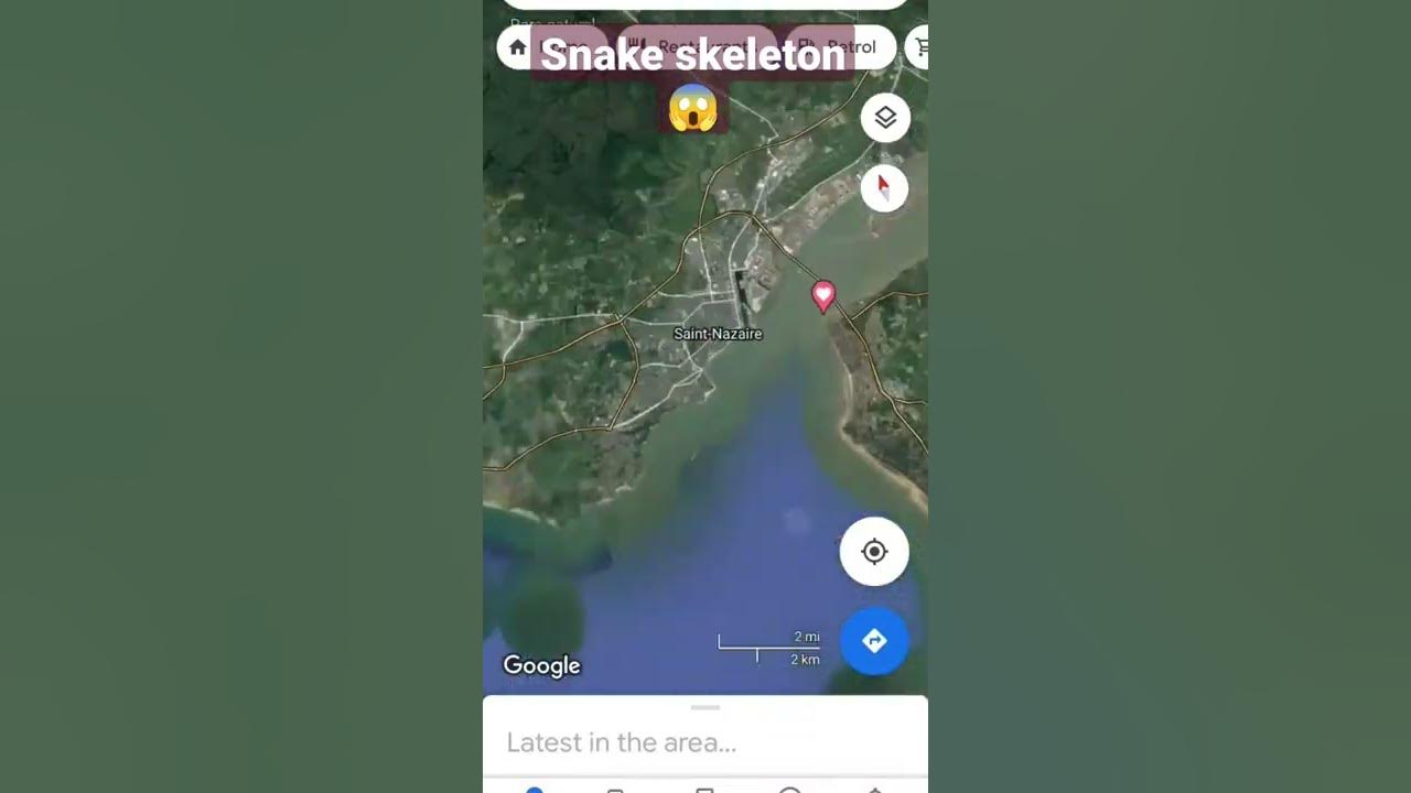 Giant 'Snake Skeleton' On Google Maps Sparks Titanoboa Theories, But