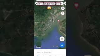 Esqueleto de cobra gigante encontrado no Google Maps! #shorts