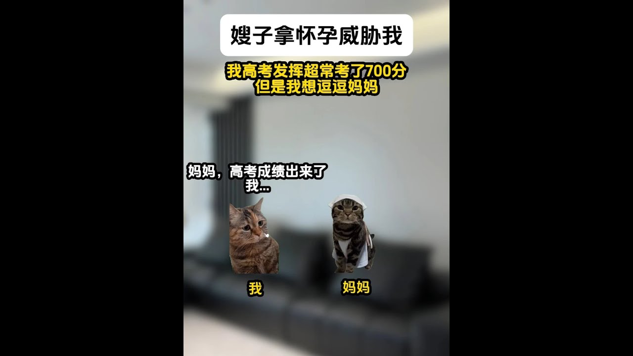 《神月偏爱》1~3集 #猫meme #猫meme小剧场