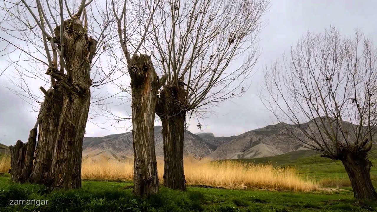 In nearby - YouTube