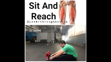 Sit And Reach
