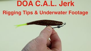 How to Rig a DOA Jerk Bait for Saltwater Fishing - Underwater Footage Included screenshot 3