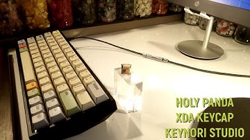 Holy Panda Switch Typing Sounds ASMR, PBT XDA Profile Keycap