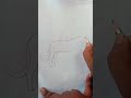 How to draw a cheetah drawing!Animal drawing!