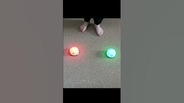 Red light green light reaction exercise by soccerexercises #Shorts