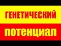 Можно ли изменить судьбу и генетический потенциал? Саморазвитие. Психология. Развитие личности