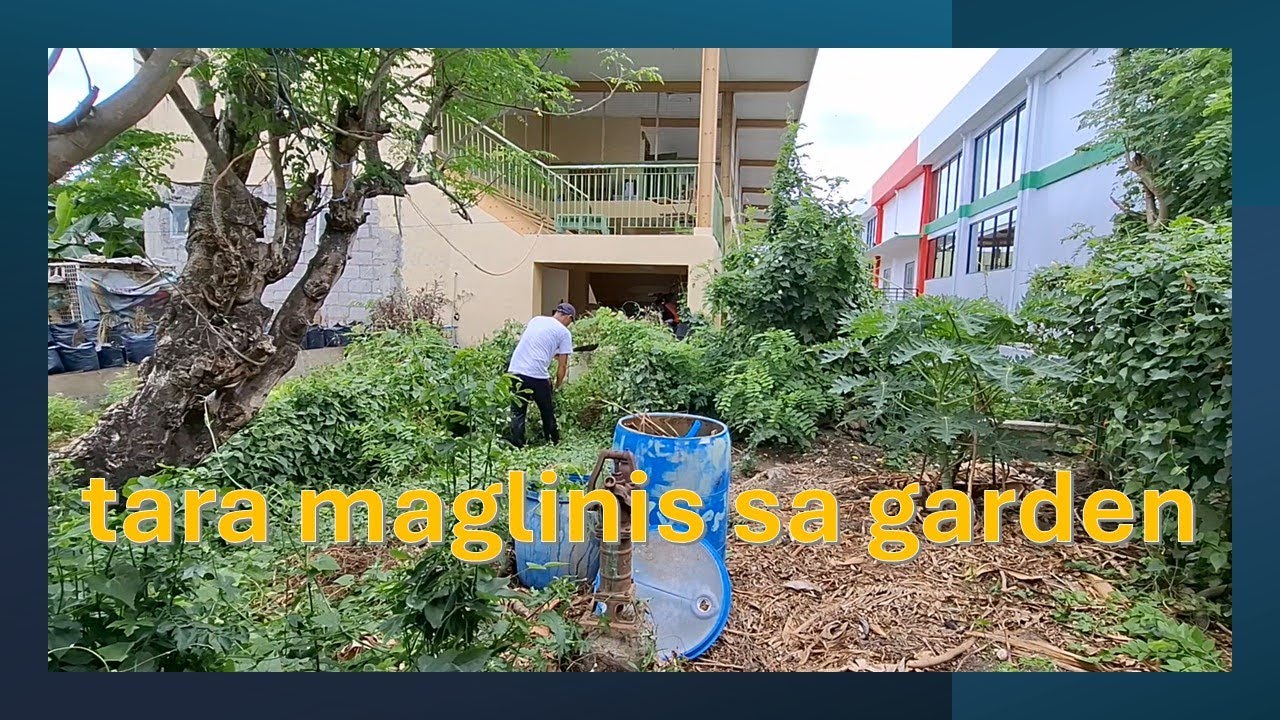 tara maglinis sa garden