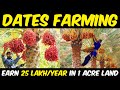 Dates Farming / Date Palm Cultivation | Planting, Harvesting & Processing