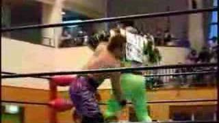 A Tribute To Michinoku Pro-Wrestling