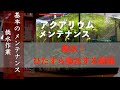 換水！ひたすら換水！　ただただ換水する動画〜カルキ抜き無しでじゃぶじゃぶ〜