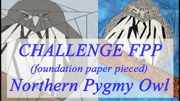 Bird of the Month February 2023 - Northern Pygmy Owl Quilt Block - FPP assembly | Advanced FPP