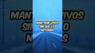 El amor silencioso #fe #cristo #paz #motivacion #biblia #palabradedios #dios #espiritualidad #amor