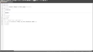 CSS text Rotation Wealth