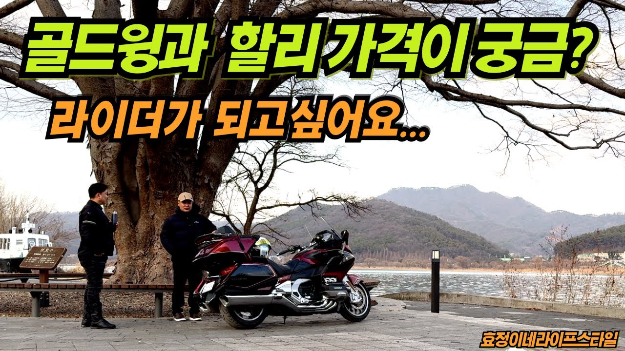 겨울철 바이크의 매력 / 양평 방치탕 맛집 / 골드윙DCT