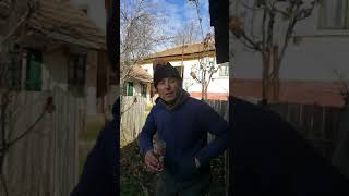 Download Lagu Bidineaua MP3