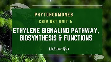 Ethylene Signaling Pathway, Biosynthesis & Functions | Phytohormone CSIR NET UNIT 6