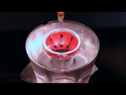 Первый в мире напечатанный на 3D-принтере бионический глаз