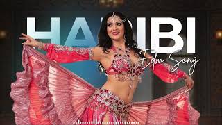 Nonstop Habibi Remix 🎧🔥 | Yalla Yalla Arabic Dance 2025 💃