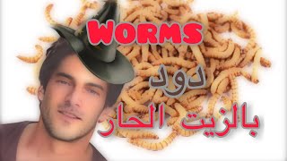 دود بالزيت الحار-worms