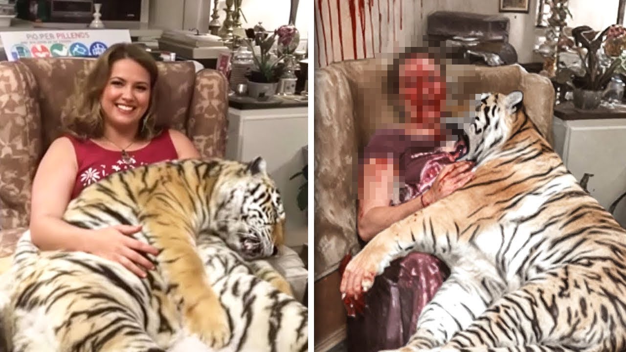 15 Animaux de Compagnie Qui Ont Dévoré Leurs Propriétaires Sous Les Yeux de Tous