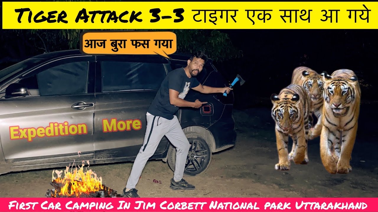 Tales from the Tiger Territory: My First Car Camping Trip To Jim Corbett National Park #camping