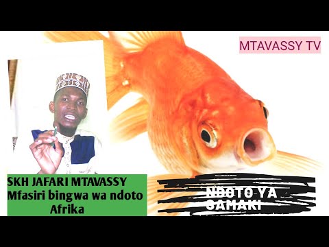 Aliyeona samaki kwenye ndoto na maana yake: skh Jafari Mtavassy - YouTube