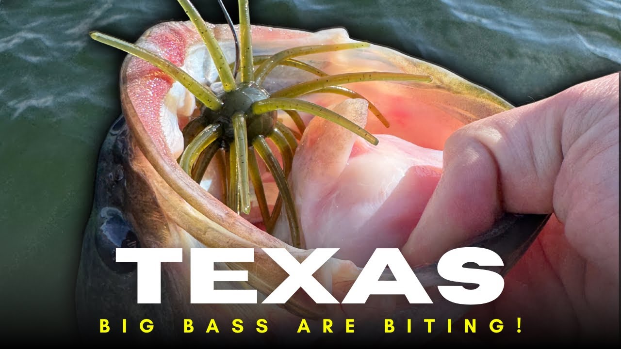 Texas Is Ready To Explode With Big Bass Catches! I Can’t Wait To Get To Sam Rayburn!