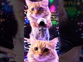 RAT DJ &amp; CAT BEHIND VERSION MATADORA (SUPER SLOWED)