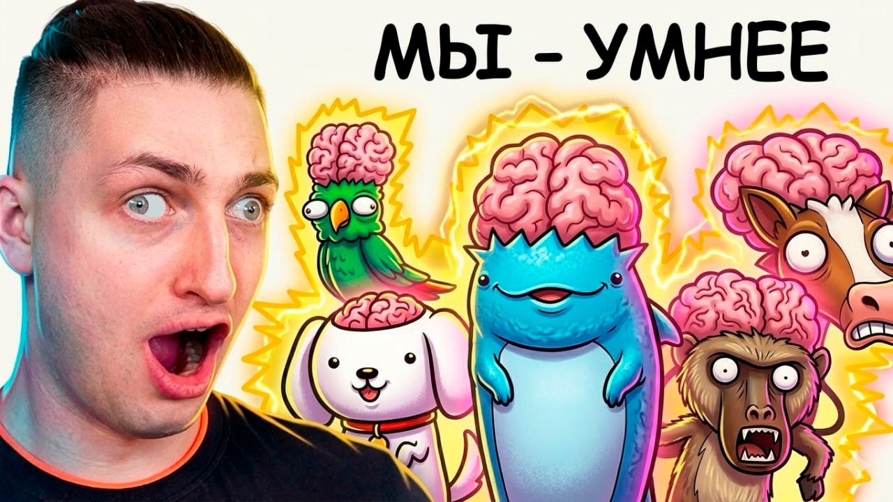 Животные с более высоким IQ, чем у меня - реакция Градуса и Вазачки