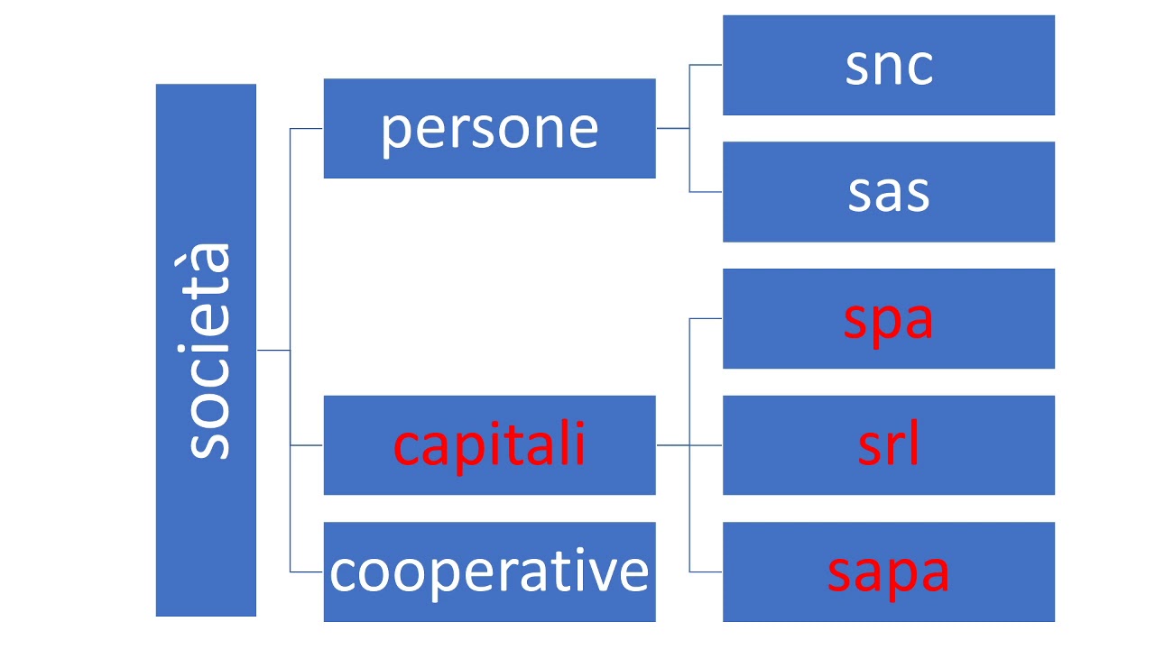Le società 1 - YouTube