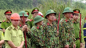 Diễn tập phòng chống cháy rừng mùa hanh khô ở huyện Hoa Lư, Ninh Bình