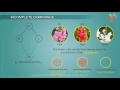 Unraveling Incomplete Dominance Through Snapdragon Flower Color Genetics