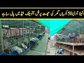 Great goat farm in pakistan  modern goat farm lahore  fully automatic goat farm shed design