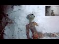UFO - OVNI - Russian Dead Alien  - HD