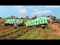 ឡានឆ្នៃដឹកស្រូវជាប់ផុង Rice truck​ stuck in mud​ & Recovery | Rice harvest in Cambodia