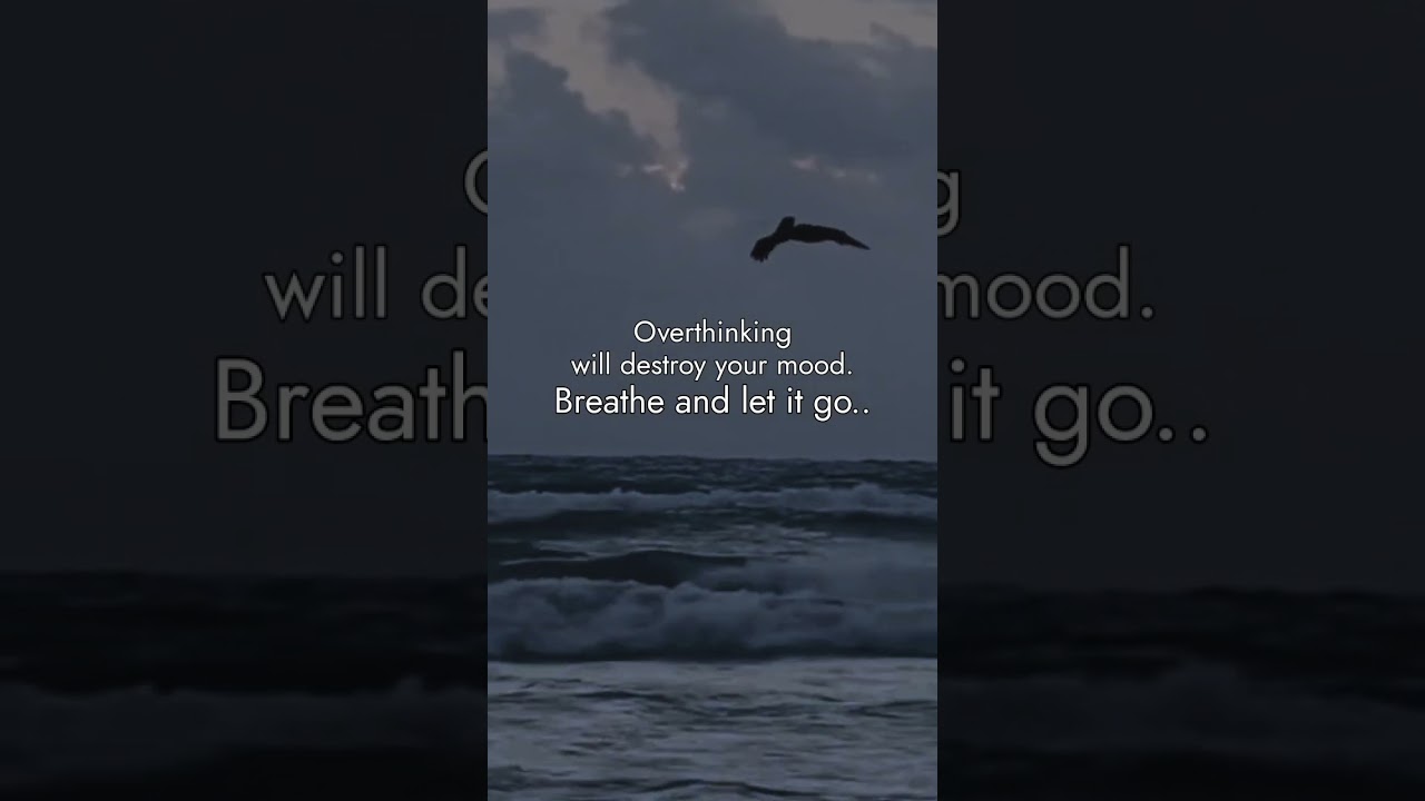 DROP A ❣️ IF YOU AGREE? 