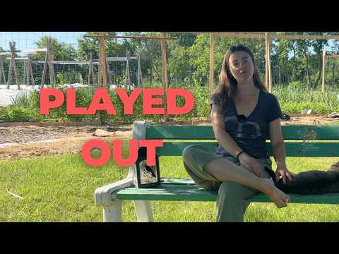 11 Practices I Use to Prevent Burnout (Honest Garden Chat)
