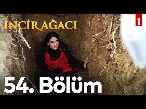 İncir Ağacı 54. Bölüm