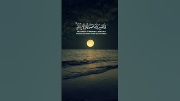 تلاوة هادئة تريح الأعصاب  | بصوت جميل للقارئ سعد الغامدي | سورة النمل