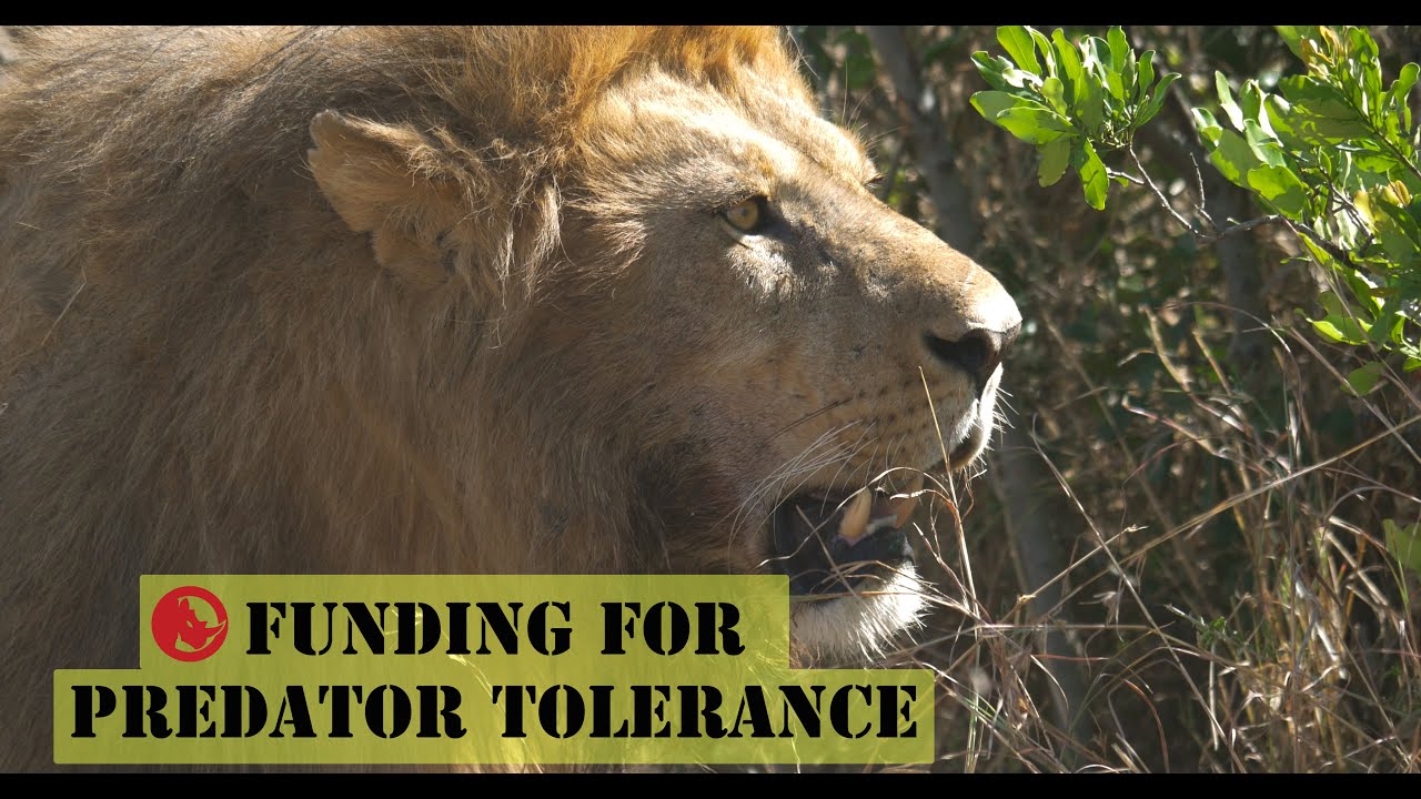 Funding For Predator Tolerance